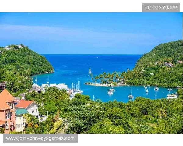 聖卢西亚国际徒步节吸引广泛关注,圣卢西亚属于哪个洲 聖卢西亚国际徒步节吸引广泛关注,圣卢西亚属于哪个洲