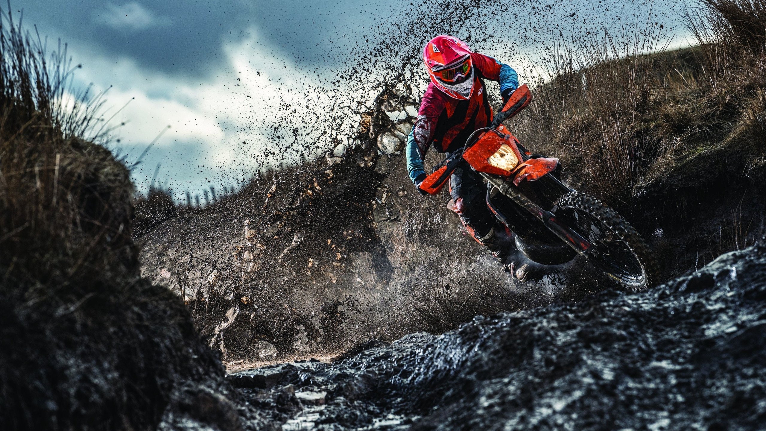 _菜鸟崛起！新秀引爆全场表现抢眼_，菜鸟少年的崛起之路